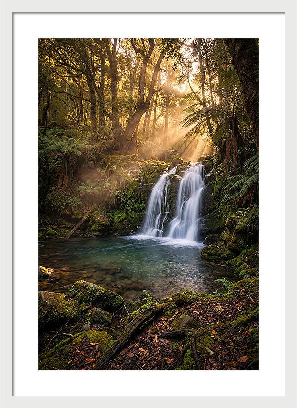 Whispers Of Dunn Falls