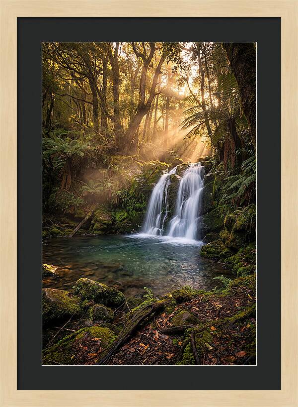 Whispers Of Dunn Falls