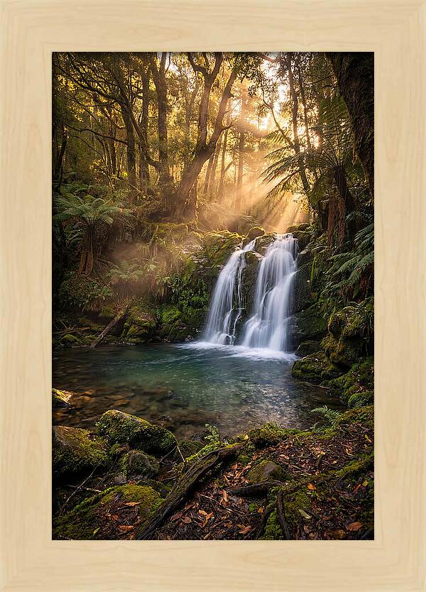 Whispers Of Dunn Falls