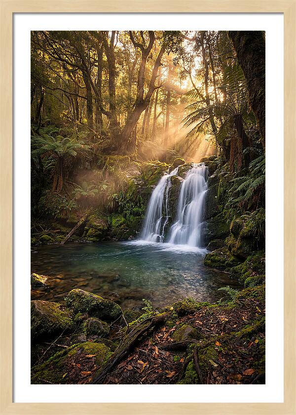Whispers Of Dunn Falls
