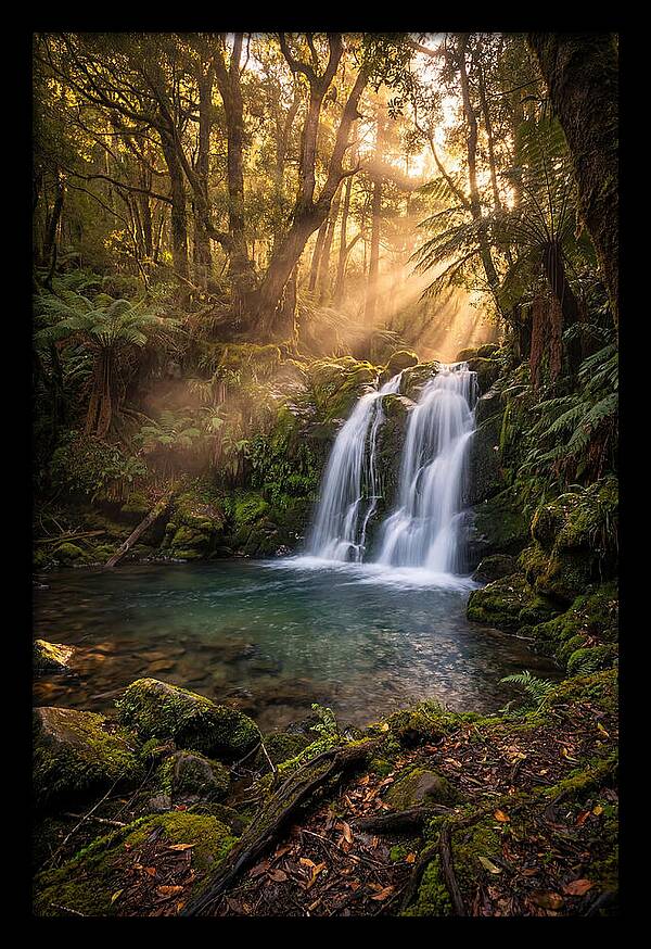 Whispers Of Dunn Falls
