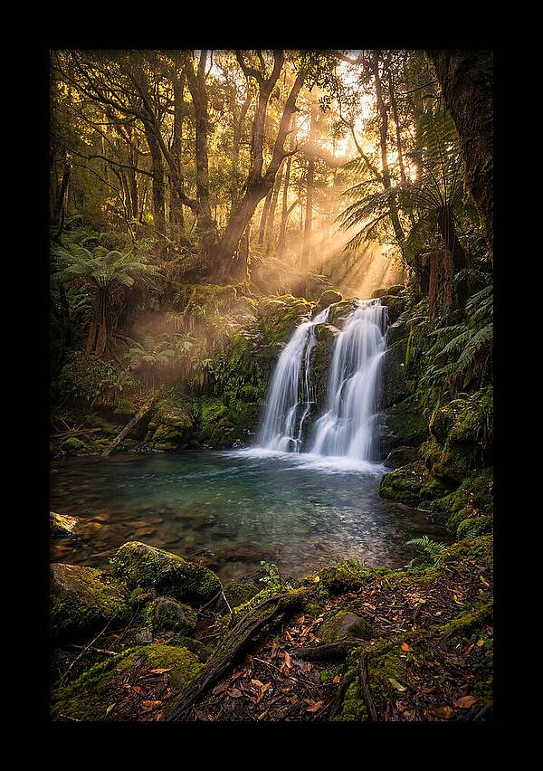 Whispers Of Dunn Falls