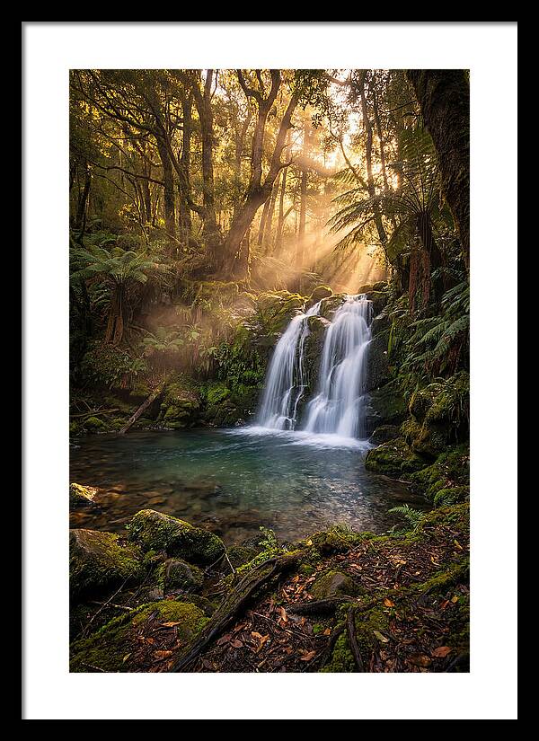 Whispers Of Dunn Falls