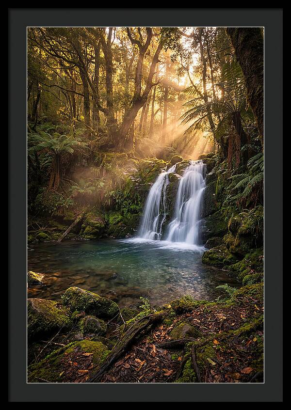 Whispers Of Dunn Falls