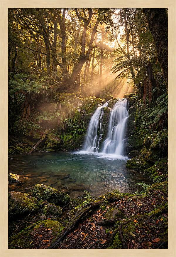 Whispers Of Dunn Falls