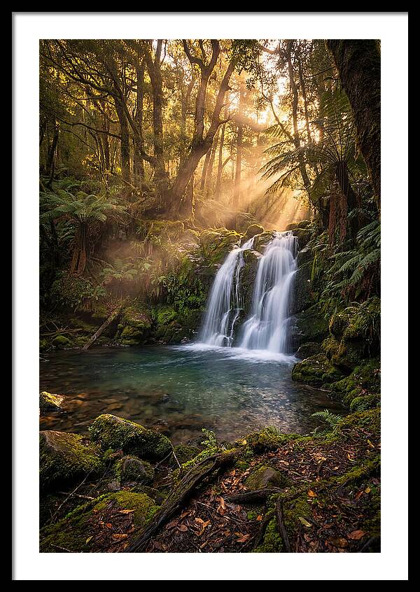 Whispers Of Dunn Falls
