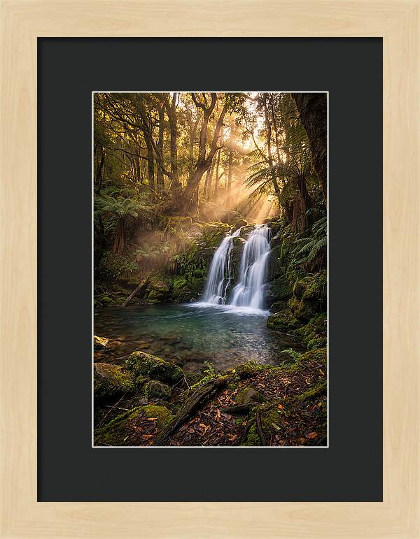 Whispers Of Dunn Falls