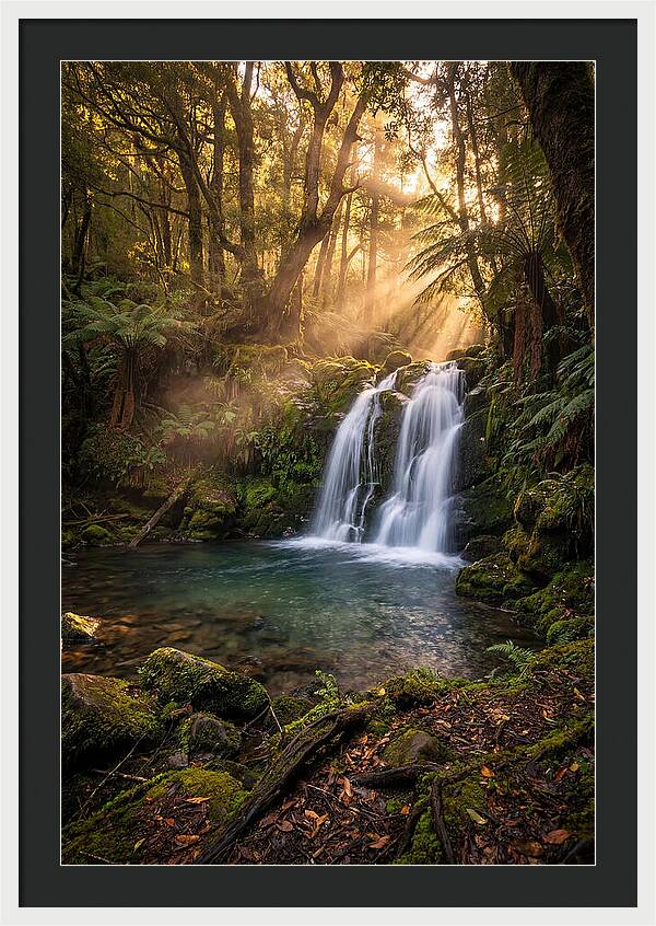 Whispers Of Dunn Falls