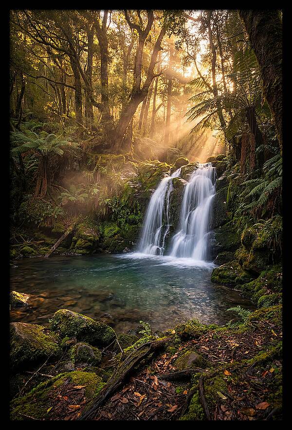 Whispers Of Dunn Falls