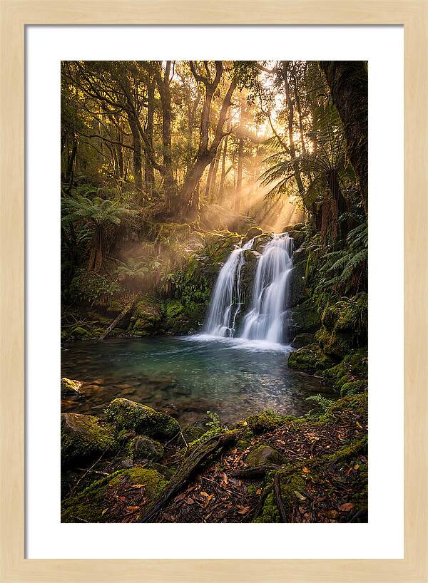 Whispers Of Dunn Falls