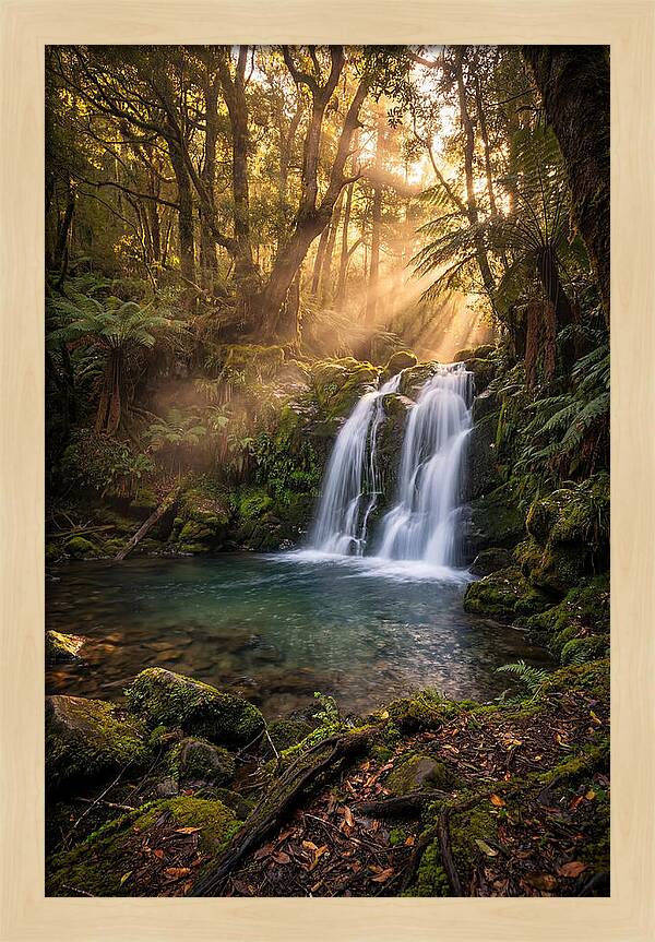 Whispers Of Dunn Falls