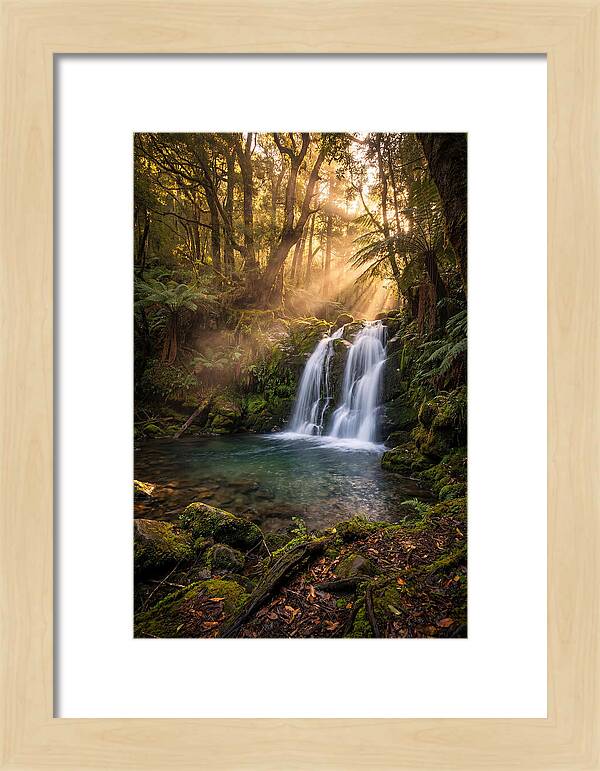 Whispers Of Dunn Falls