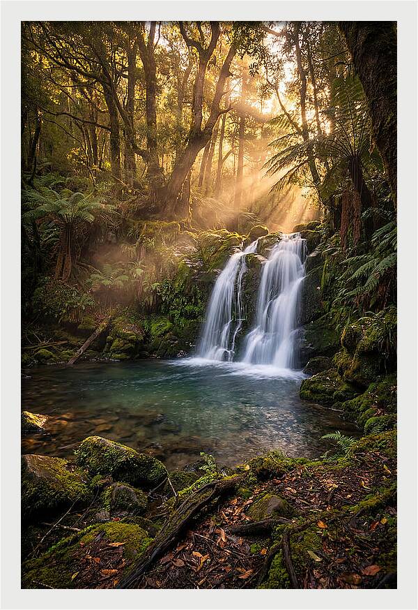 Whispers Of Dunn Falls