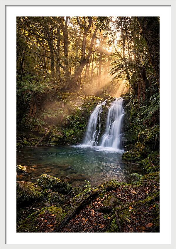 Whispers Of Dunn Falls