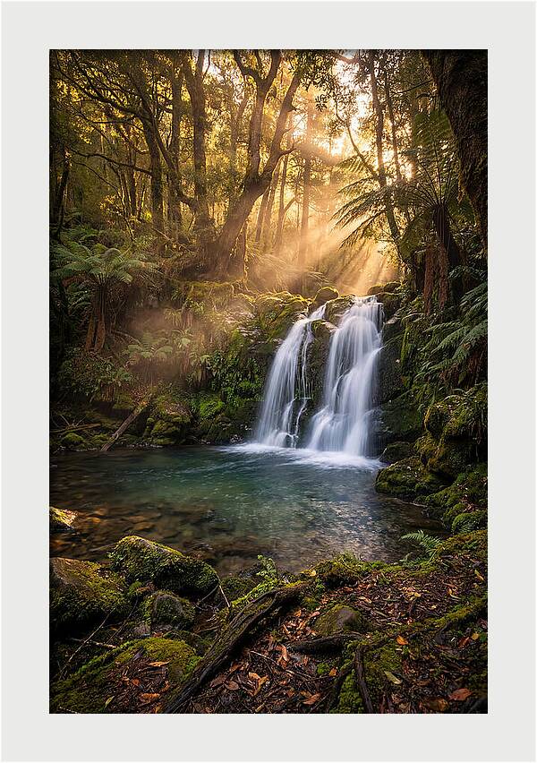 Whispers Of Dunn Falls