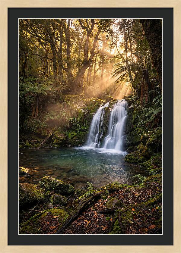 Whispers Of Dunn Falls
