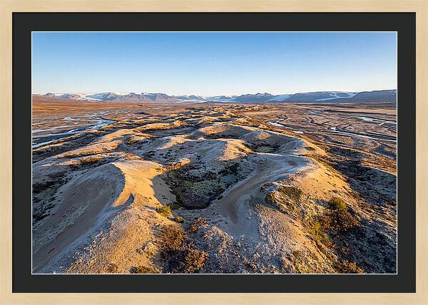 Whispers Of Kobuk Dunes