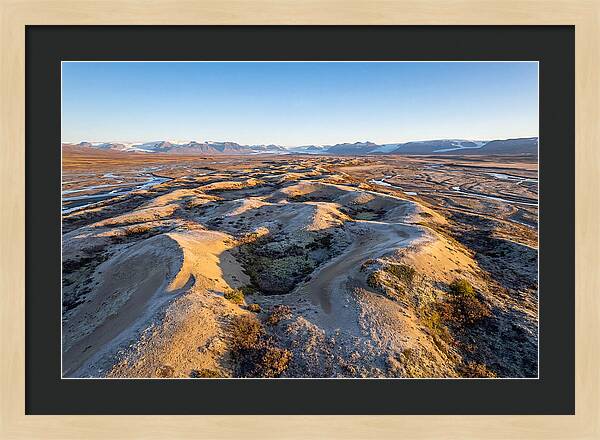 Whispers Of Kobuk Dunes