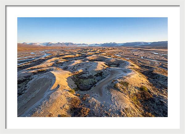 Whispers Of Kobuk Dunes