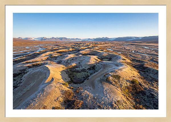 Whispers Of Kobuk Dunes