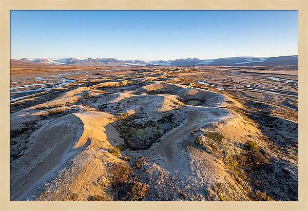 Whispers Of Kobuk Dunes