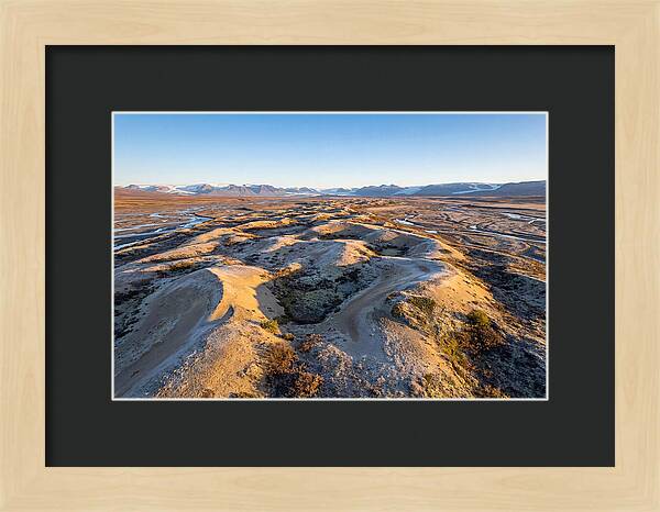 Whispers Of Kobuk Dunes