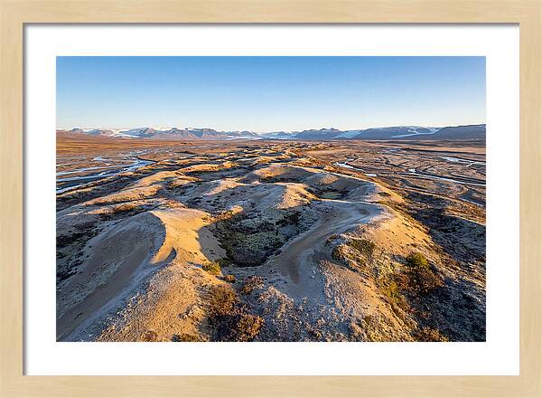Whispers Of Kobuk Dunes