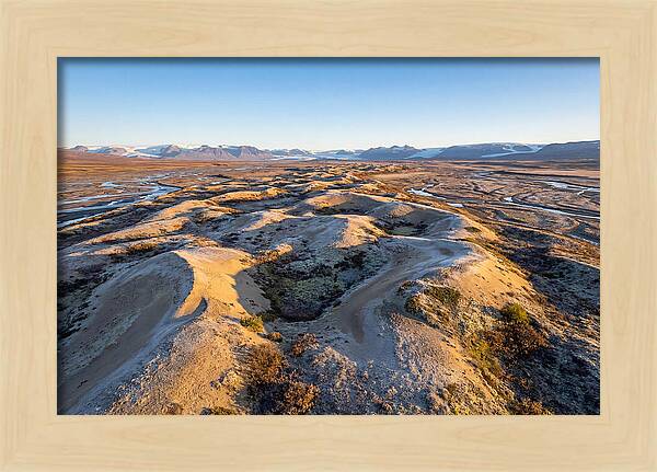 Whispers Of Kobuk Dunes