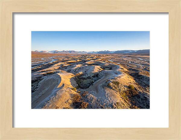 Whispers Of Kobuk Dunes