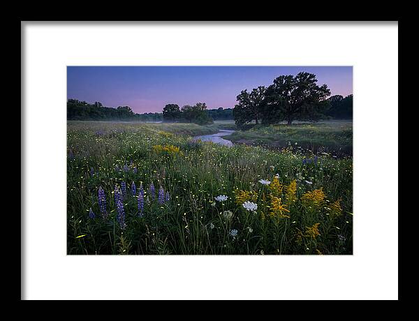 Whispers Of Light In The Night