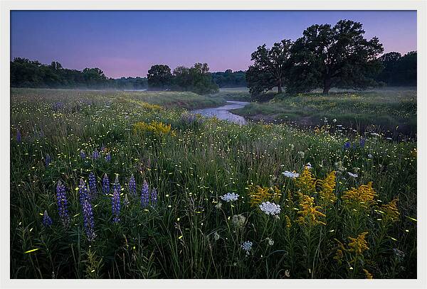 Whispers Of Light In The Night