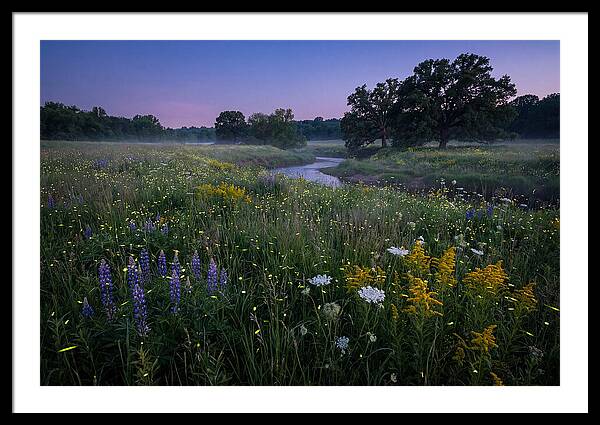 Whispers Of Light In The Night