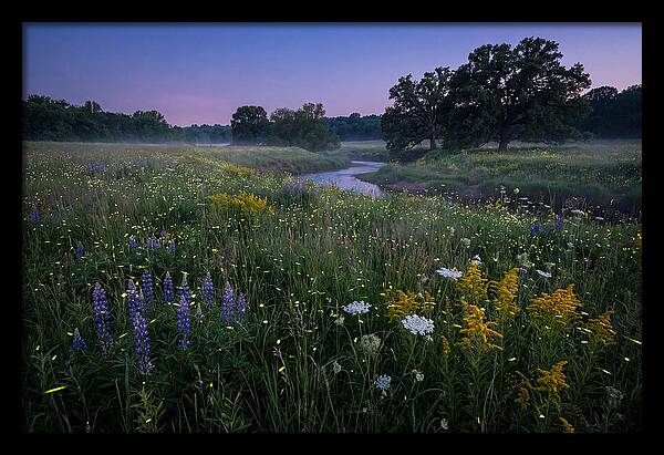 Whispers Of Light In The Night