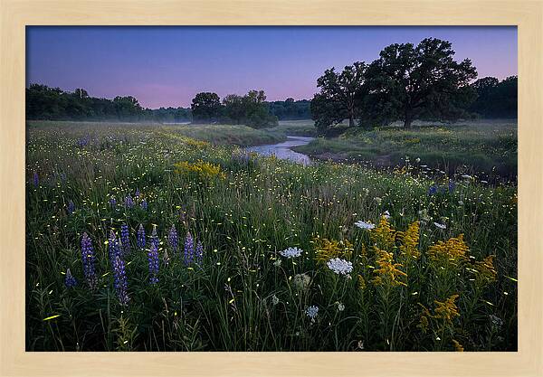 Whispers Of Light In The Night