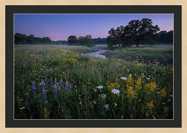 Whispers Of Light In The Night