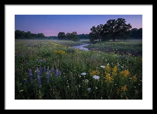 Whispers Of Light In The Night