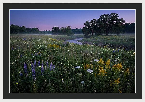 Whispers Of Light In The Night
