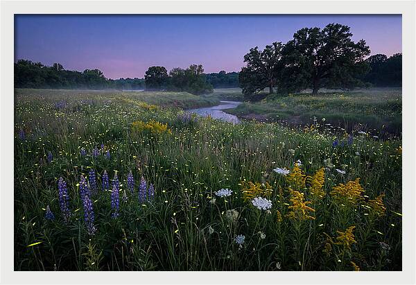 Whispers Of Light In The Night