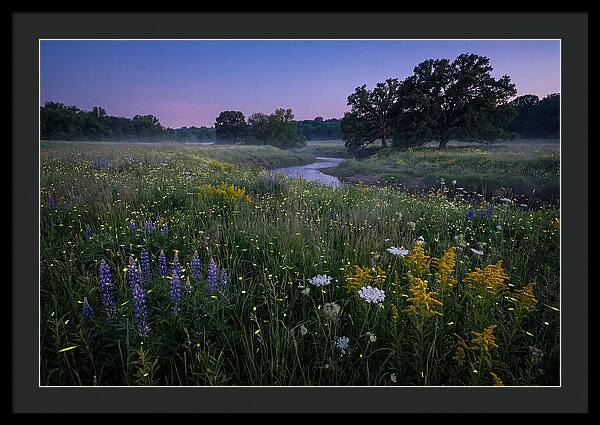 Whispers Of Light In The Night