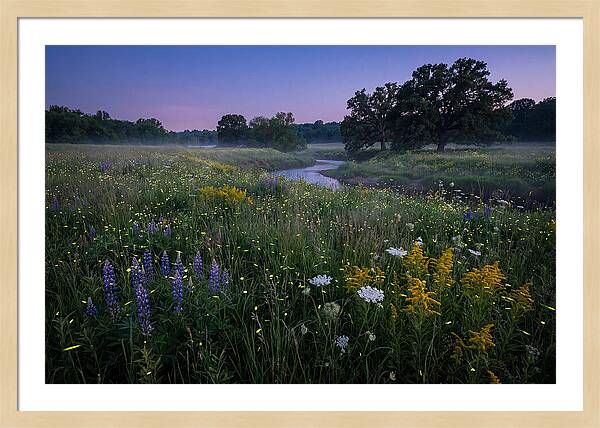 Whispers Of Light In The Night