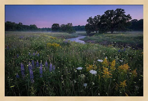 Whispers Of Light In The Night