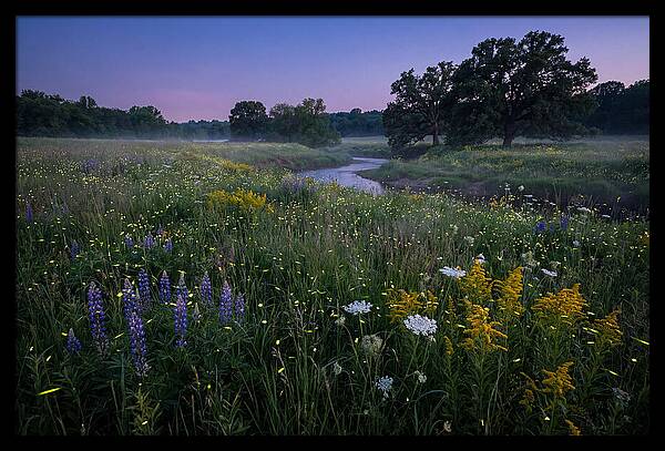 Whispers Of Light In The Night