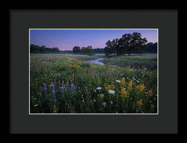 Whispers Of Light In The Night