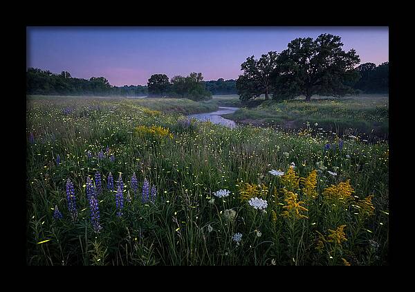 Whispers Of Light In The Night