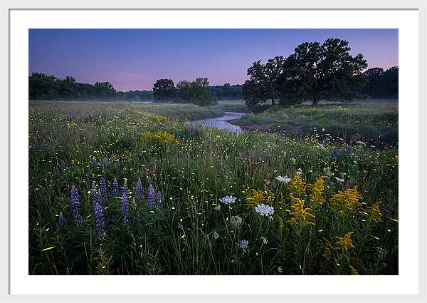 Whispers Of Light In The Night
