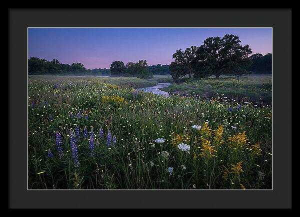 Whispers Of Light In The Night