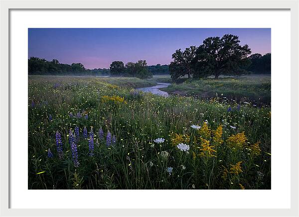 Whispers Of Light In The Night
