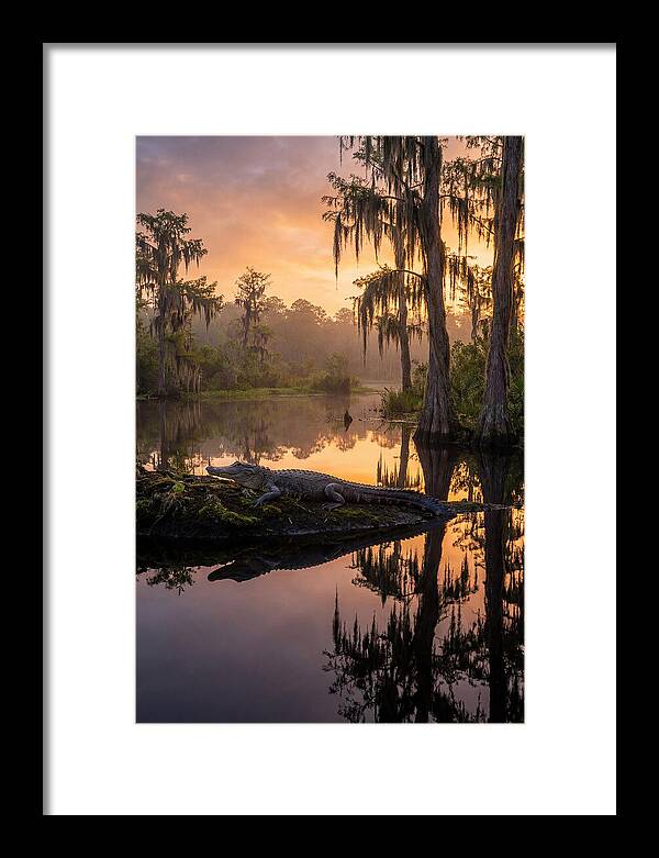 Whispers Of Okefenokee Swamp