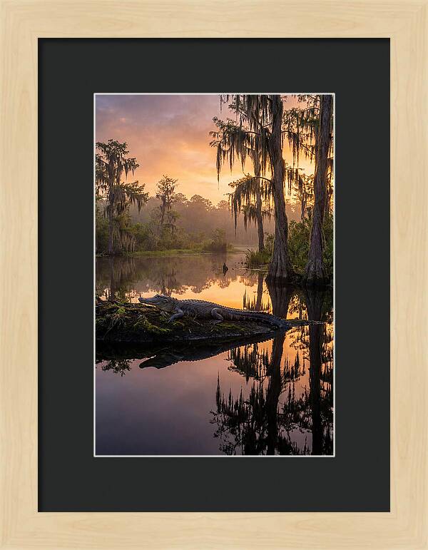 Whispers Of Okefenokee Swamp