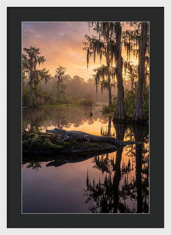 Whispers Of Okefenokee Swamp